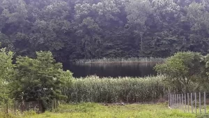 Fuego s-a mutat la sat: Vila impresionantă din Ilfov, cu ponton și un dressing unic